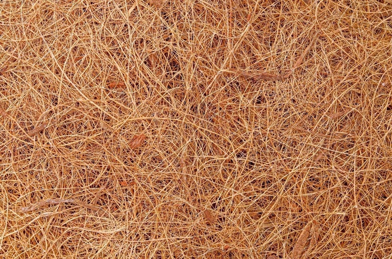 LAVZAN 8inch Replaceable Coco Liner for Hanging Basket Coco Liner for Flower Baskets 100% Natural Coir Liners for Basket (8 in / 2Pcs) - Image 2